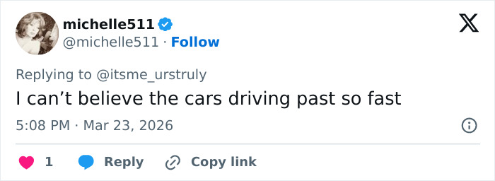 Seven Kidnapped Dogs Become Viral Sensation After They Escape Captors To Make Brave Journey Home Together