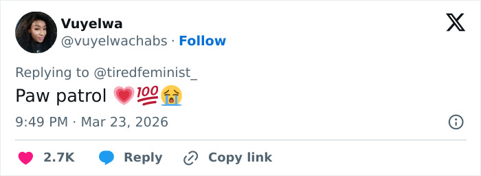 Seven Kidnapped Dogs Become Viral Sensation After They Escape Captors To Make Brave Journey Home Together