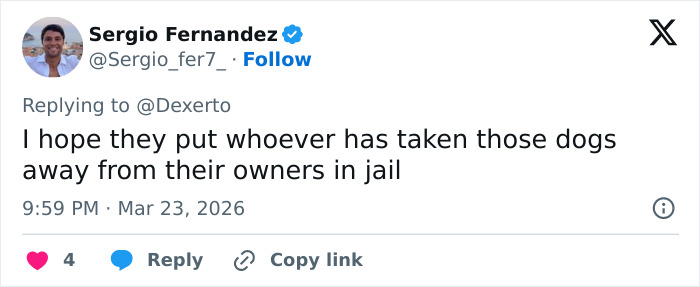 Seven Kidnapped Dogs Become Viral Sensation After They Escape Captors To Make Brave Journey Home Together