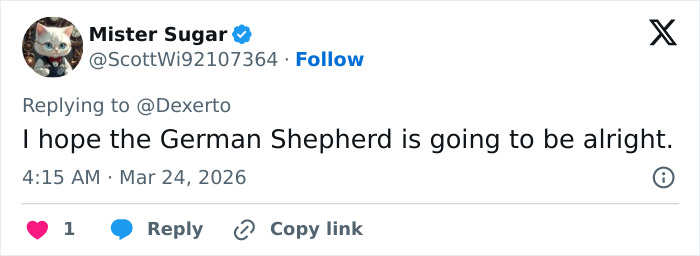 Seven Kidnapped Dogs Become Viral Sensation After They Escape Captors To Make Brave Journey Home Together