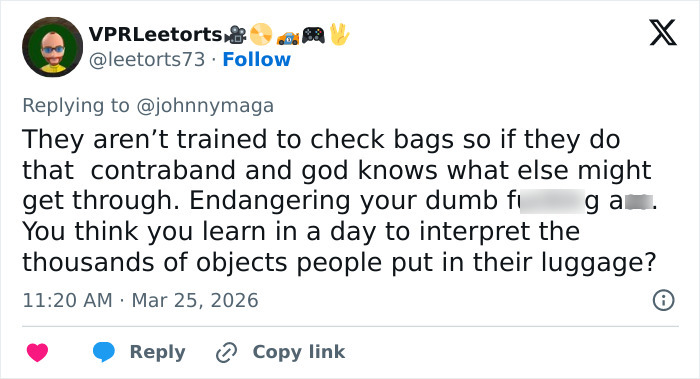 Screenshot of a social media reply discussing concerns about ICE agent training and airport luggage inspections.