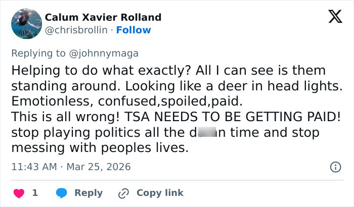 Screenshot of a tweet reacting to ICE at the airport with confusion and criticism of TSA performance and politics.