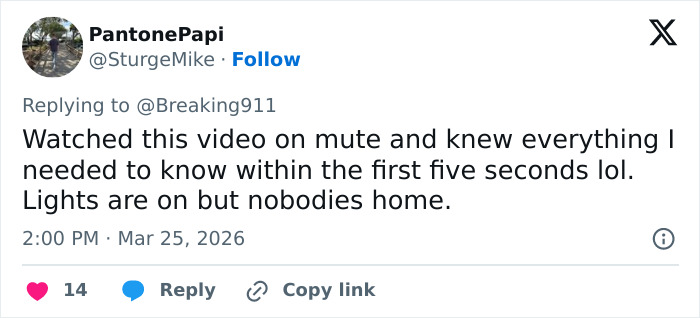 Screenshot of a Twitter reply about a Brooklyn man’s priceless reaction to ICE at the airport sparking internet attention.