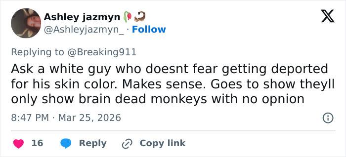 Tweet discussing a Brooklyn man’s priceless reaction to ICE at the airport, highlighting social and racial opinions.