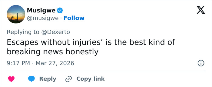 Tiger Woods Arrested For DUI Following Rollover Crash In Florida