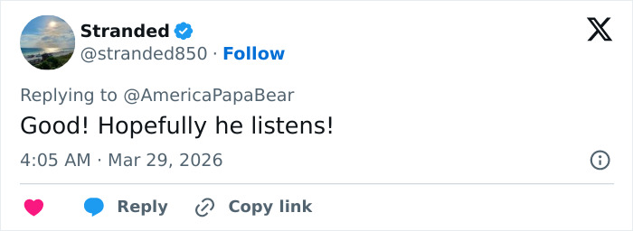 Tweet from Stranded replying to AmericaPapaBear, expressing hope that Tiger Woods listens after DUI arrest ultimatum.