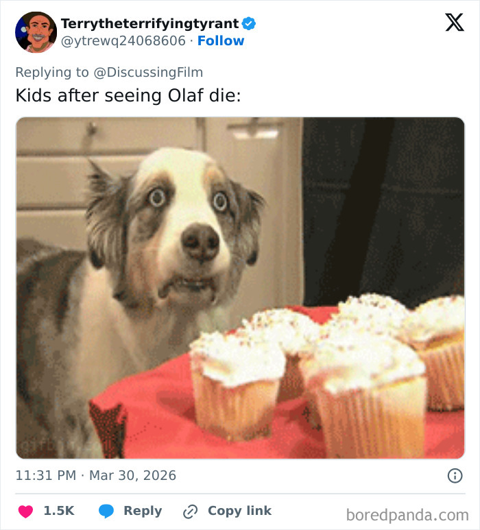 Dog with wide eyes staring at cupcakes, capturing reactions to Disney's animatronic Olaf suddenly collapsing.
