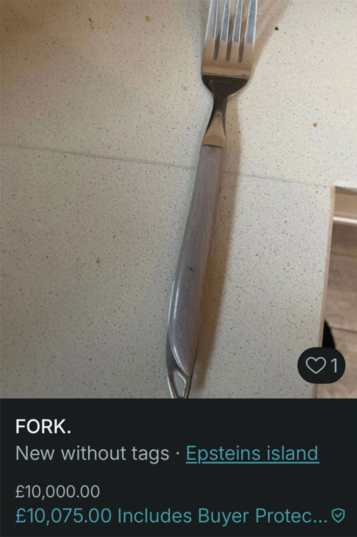 Fork listed on Vinted with a humorous high price tag, showcasing the zero rules on Vinted marketplace listings.