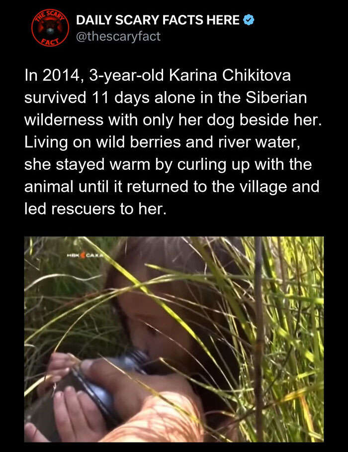 Young girl surviving 11 days alone in Siberian wilderness with dog, living on wild berries and river water, scary facts highlighted.