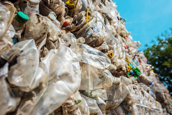 Close-up of compressed plastic bottles stacked outdoors under a clear blue sky, illustrating bizarre encounters with waste.
