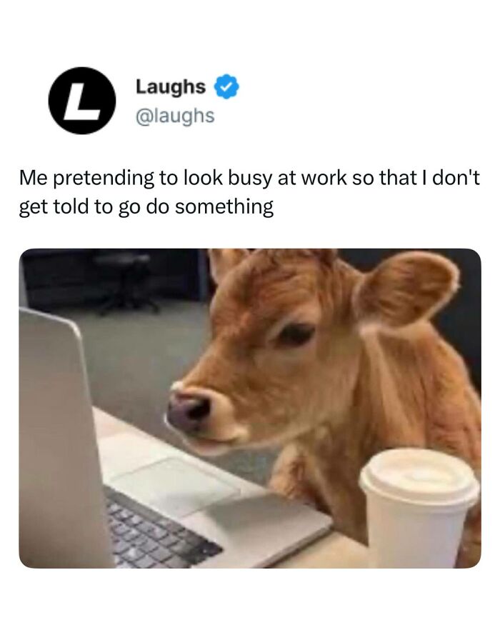 Funny meme of a calf pretending to work on a laptop, illustrating a break from being a responsible adult.