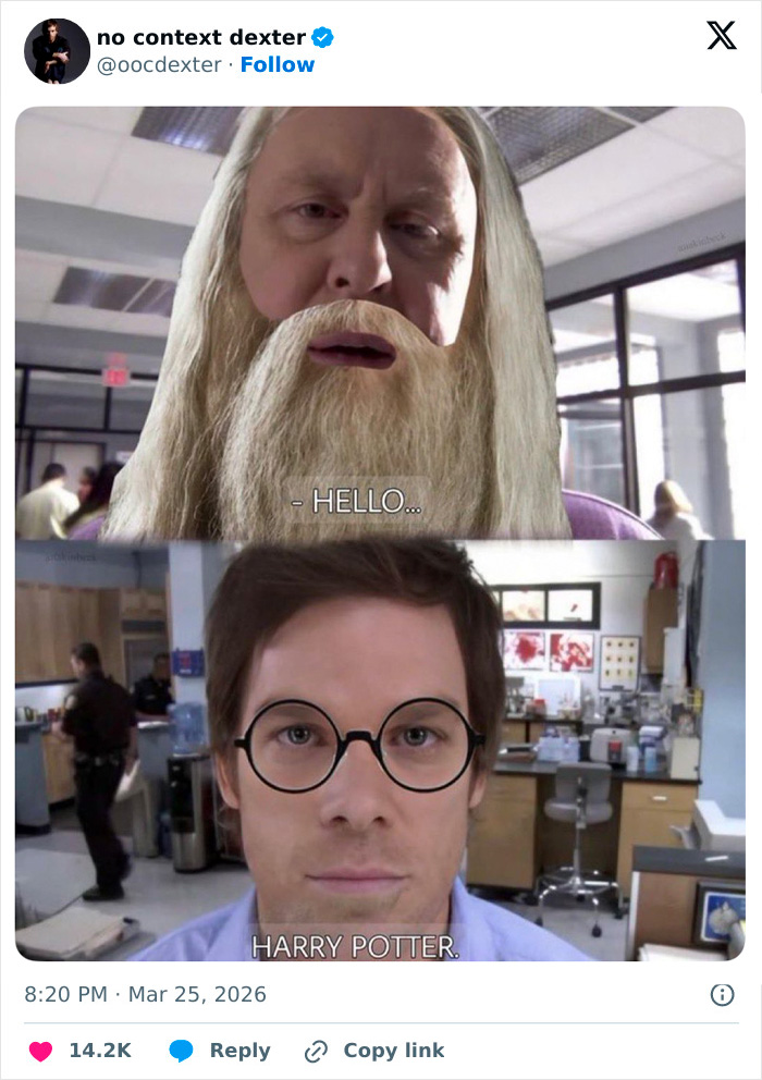 Man with edited long white beard saying hello and man wearing round glasses captioned Harry Potter in meme about HBO Harry Potter series fans.