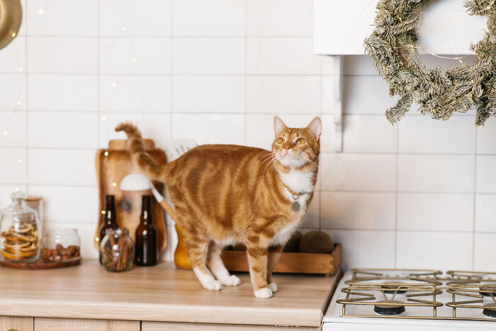 From Disgusting To Bizarre, Here Are 33 Of The Worst Things People Spotted In Someone's Home