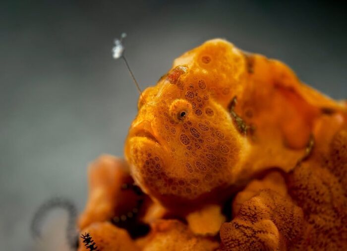 2nd Place Ocean Portfolio Award 2022 - Martin Broen