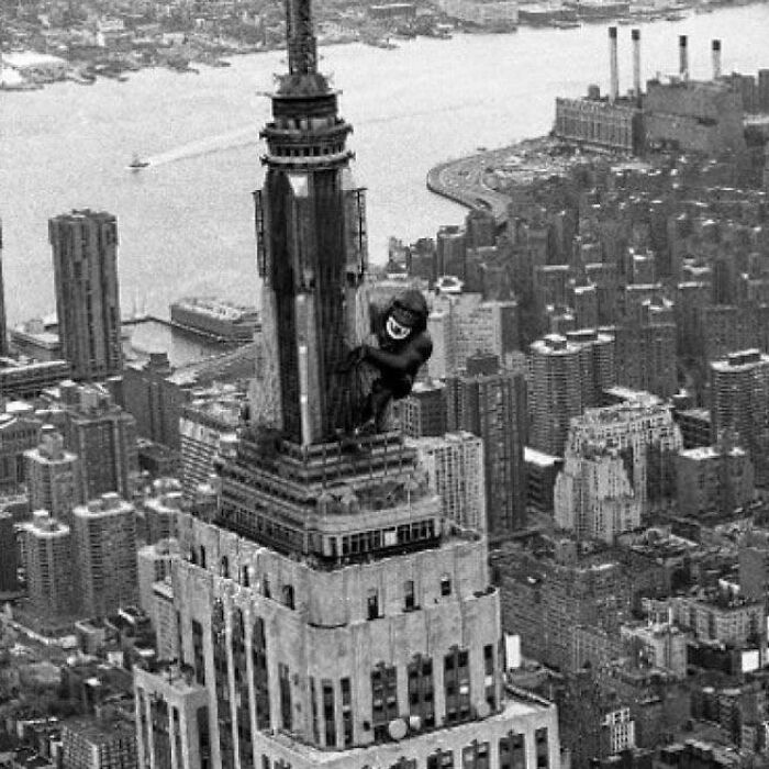 Black and white photo of a man climbing a skyscraper, a bizarre true story that nobody believed.
