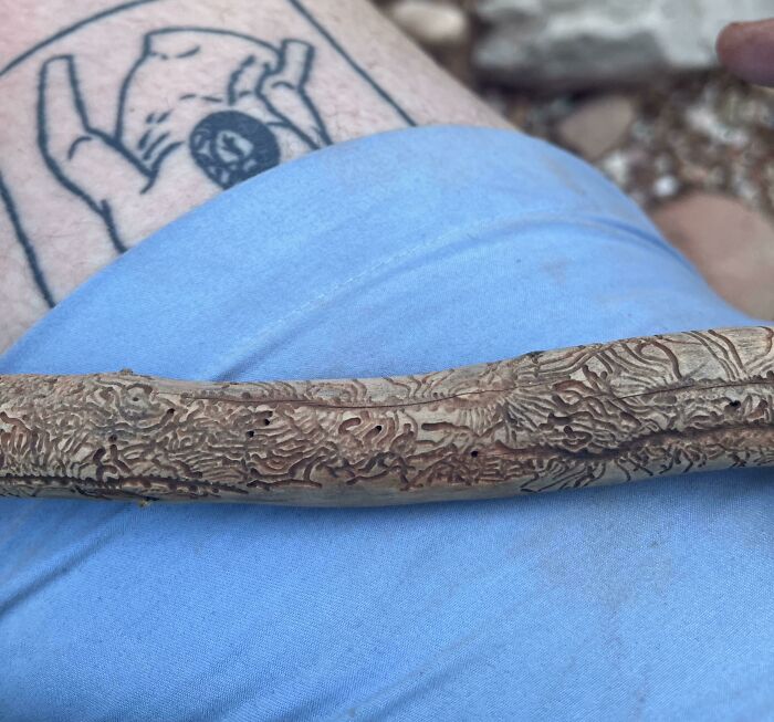 Person holding a carved wooden stick with intricate patterns, resting on blue shorts with a tattooed leg visible.