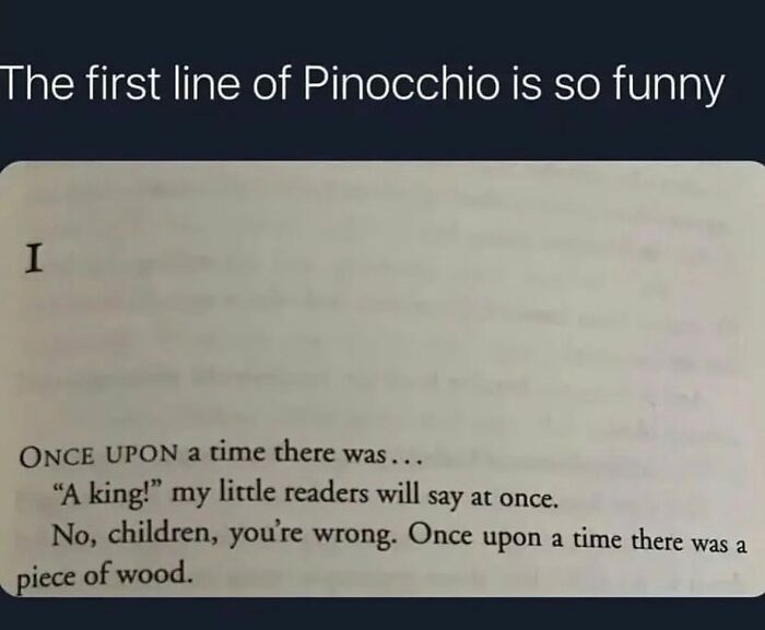 Funny and relatable meme showing a humorous first line from Pinocchio about a piece of wood, capturing ridiculous randomness.