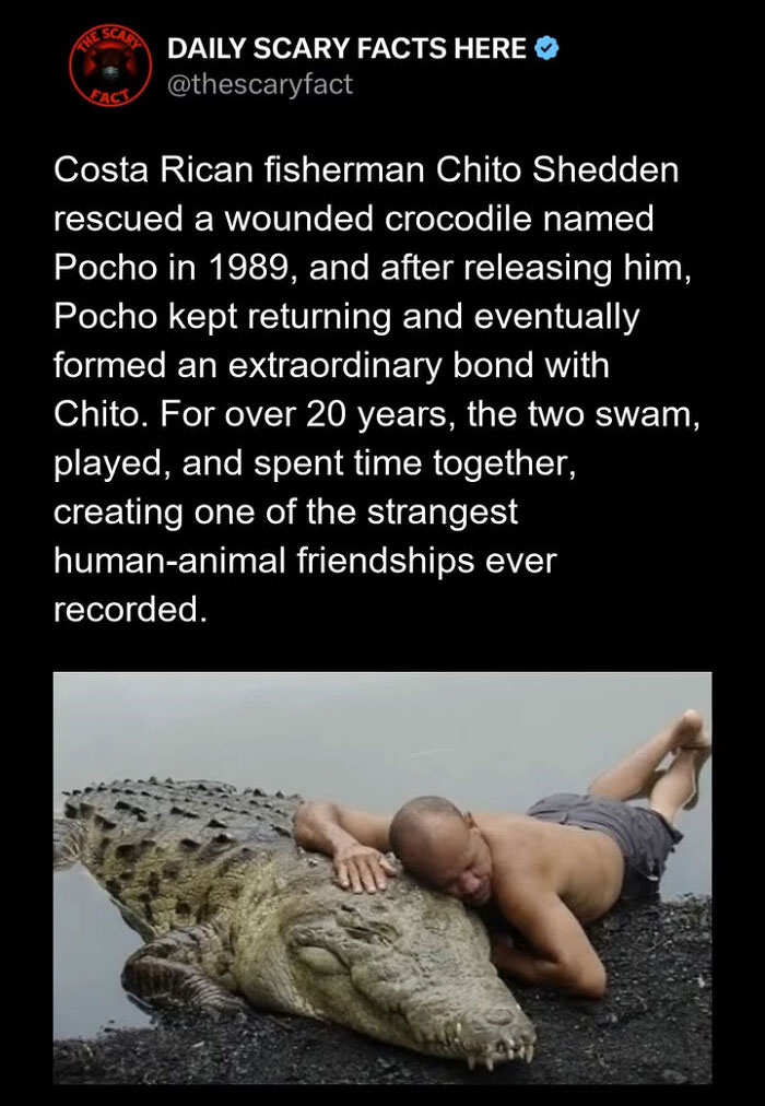 Costa Rican fisherman and crocodile share a rare bond, illustrating one of the strangest scary facts about animal friendship.