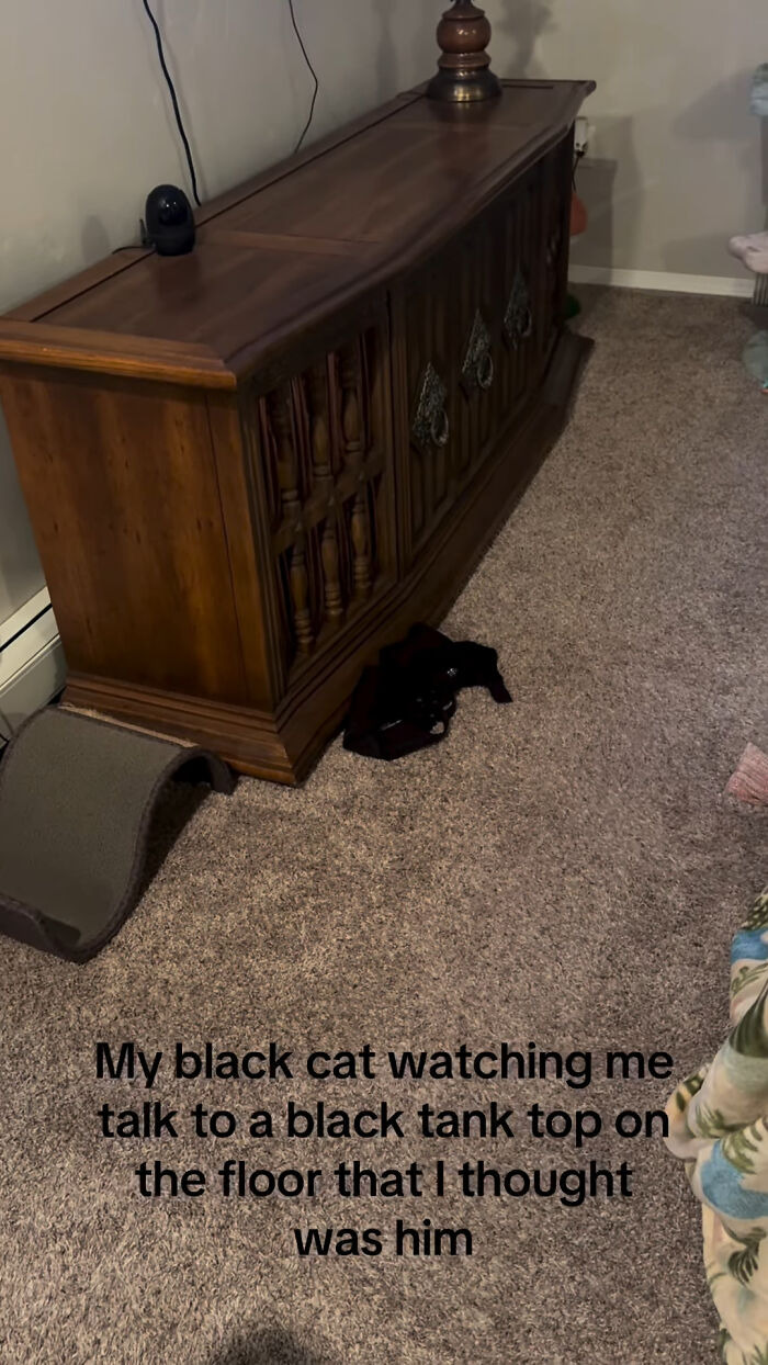 Black cat watching owner talk to black tank top on carpet in a relatable and funny meme scene.
