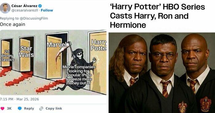 33 Memes About The HBO ‘Harry Potter’ Series That Perfectly Describe Fans’ Feelings After The Trailer Release