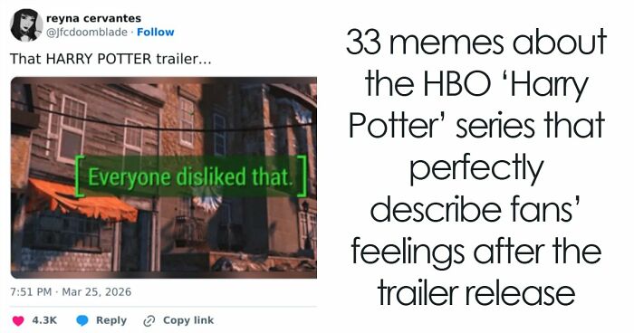 33 Memes About The HBO ‘Harry Potter’ Series That Perfectly Describe Fans’ Feelings After The Trailer Release