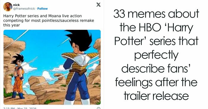 33 Memes About The HBO ‘Harry Potter’ Series That Perfectly Describe Fans’ Feelings After The Trailer Release