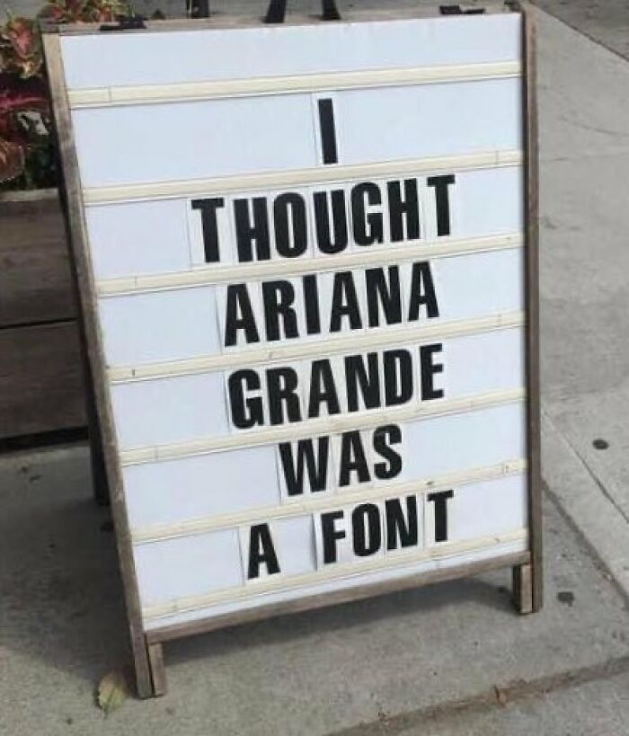 Wild-Funny-New-Sentences