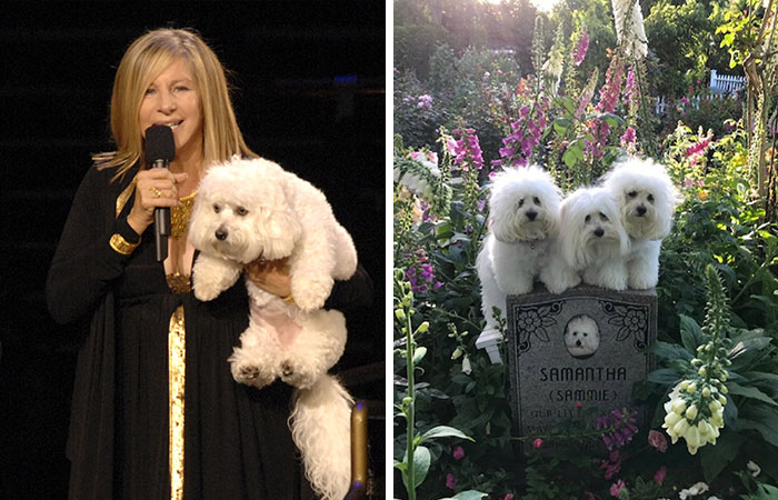 Barbra Streisand holding a white dog on stage next to three similar dogs sitting on a grave with flowers, morbid celebrity facts.