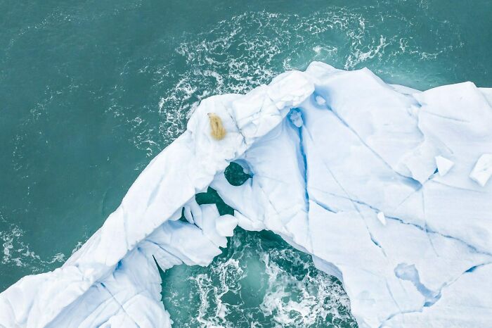 Finalist Conservation Photographer Of The Year 2020 - Florian Ledoux