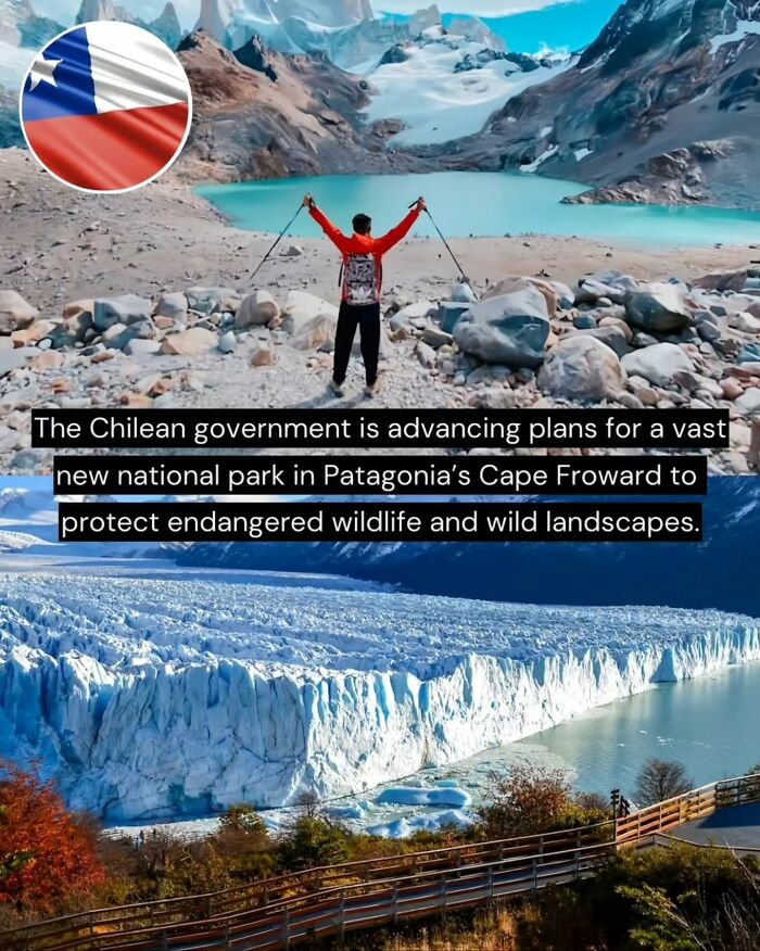 Chilean government plans vast national park in Patagonia to protect endangered wildlife and wild landscapes good news