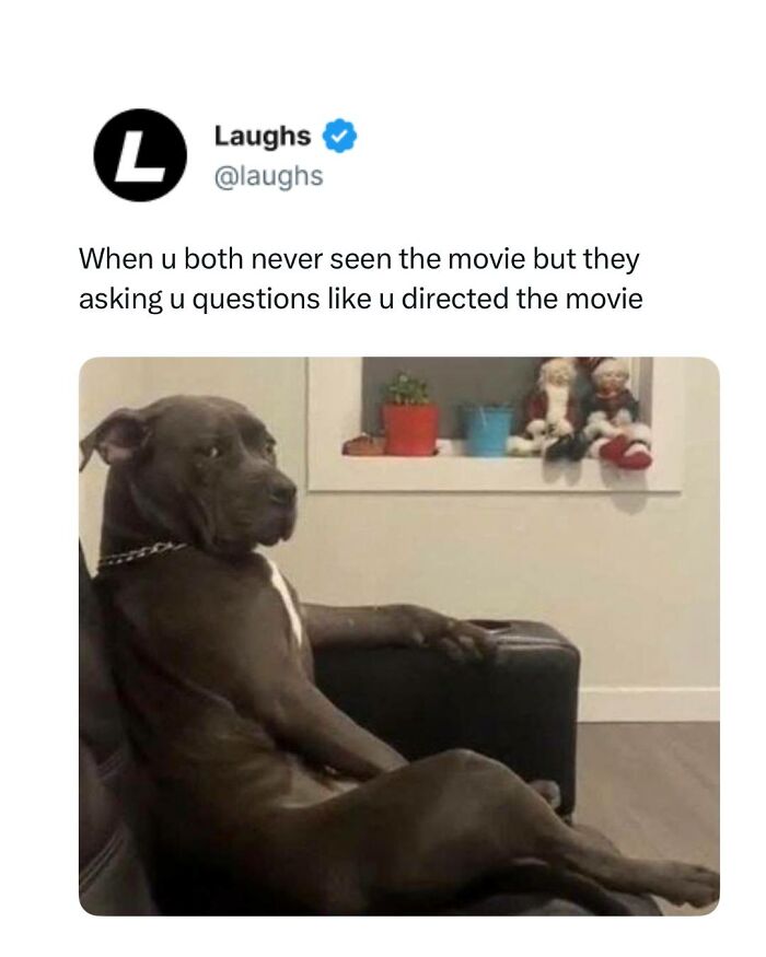 A funny meme with a dog sitting like a human, perfect for a break with funny memes about being a responsible adult.