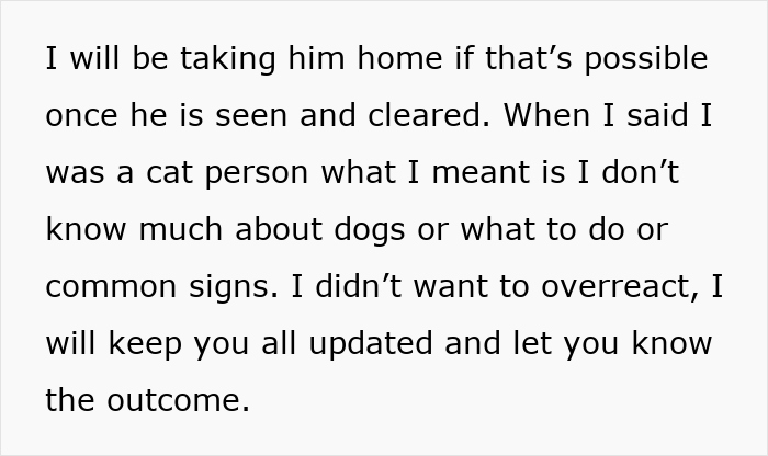 Text about a person unfamiliar with dogs discussing neglectful owner dog health problems and providing updates on the dog's condition.