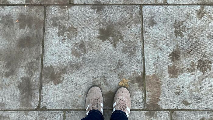 Faded leaf imprints on pavement captured from above with feet in sneakers, showing nostalgic childhood memories.