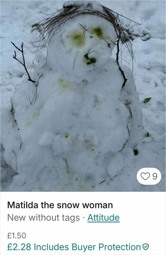 Odd snow woman listing on Vinted showing hilarious and unusual item for sale with no rules on Vinted marketplace.