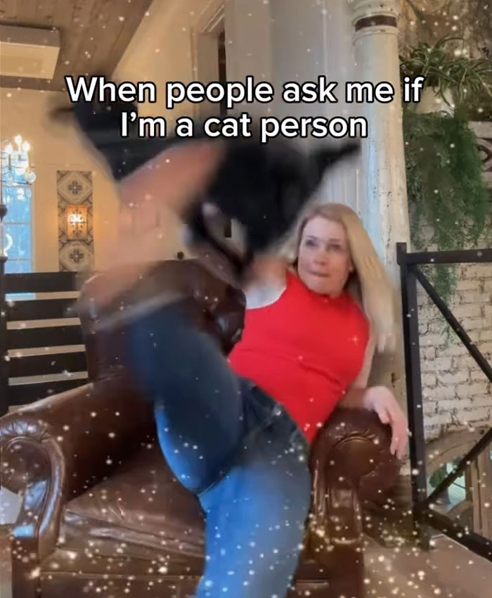 Melissa Joan Hart in a red top kicking toward a black cat, captioned about being a cat person with sparkly effects.