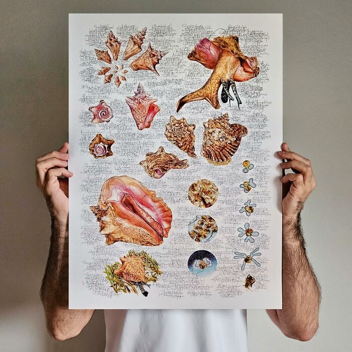 35 Beautiful Wildlife Sketches That Blend Scientific Detail With Artistic Wonder