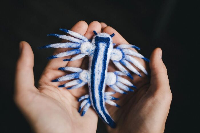 “Glaucus Atlanticus”
