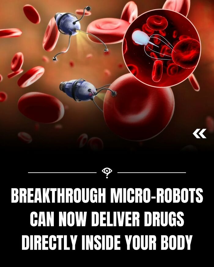 Micro-robots delivering d***s inside the body among red blood cells in a science fact illustration.