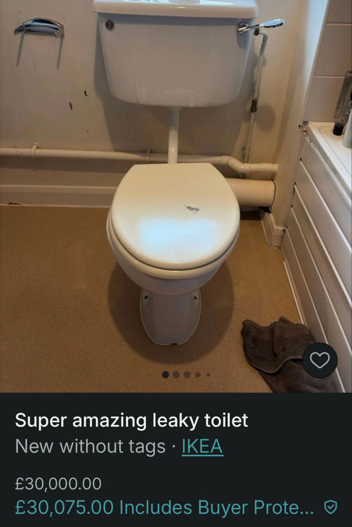 Leaky toilet listed on Vinted with an exaggerated price, showcasing hilarious listings and zero rules on the platform.