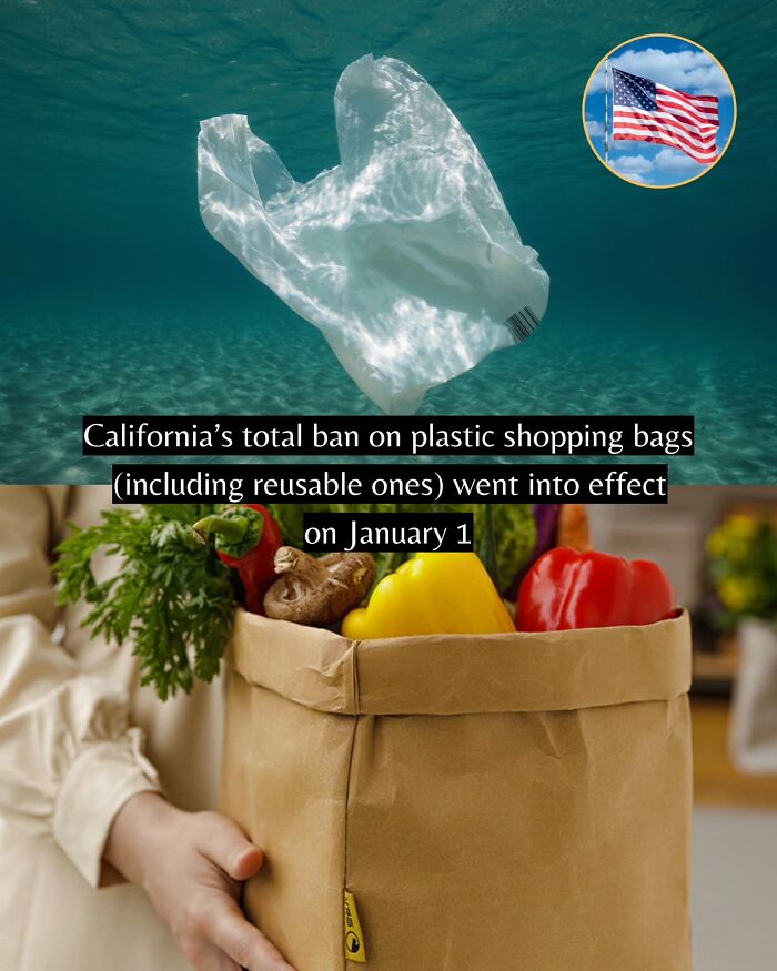 Plastic pollution reduction and environmental good news from around the world with California banning plastic shopping bags.