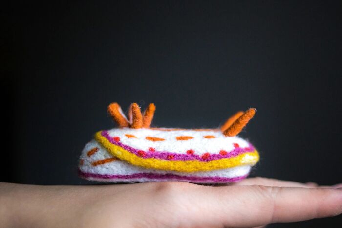 “Hypselodoris Kaname”