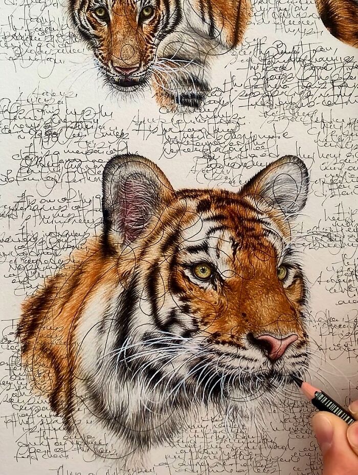 35 Beautiful Wildlife Sketches That Blend Scientific Detail With Artistic Wonder