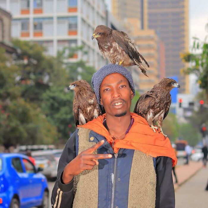 After Losing Everything, This Man Found Purpose In Rescuing Birds On Nairobi&rsquo;s Streets