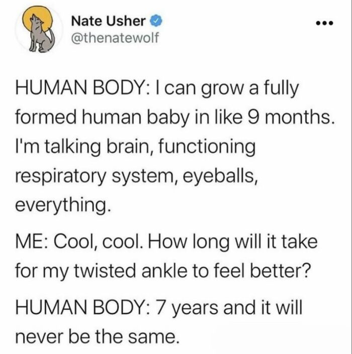 Screenshot of a funny and relatable meme about the human body’s slow healing compared to growing a baby.
