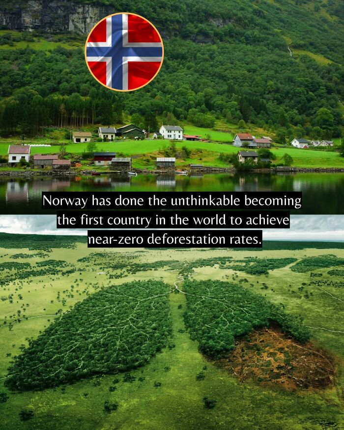 Norway achieves near-zero deforestation rates, one of the good news from around the world improving life and environment.