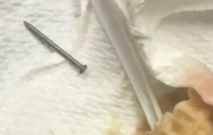 Mulher ganha US$ 14 milhões depois que sorvete a deixou incapaz de ter filhos