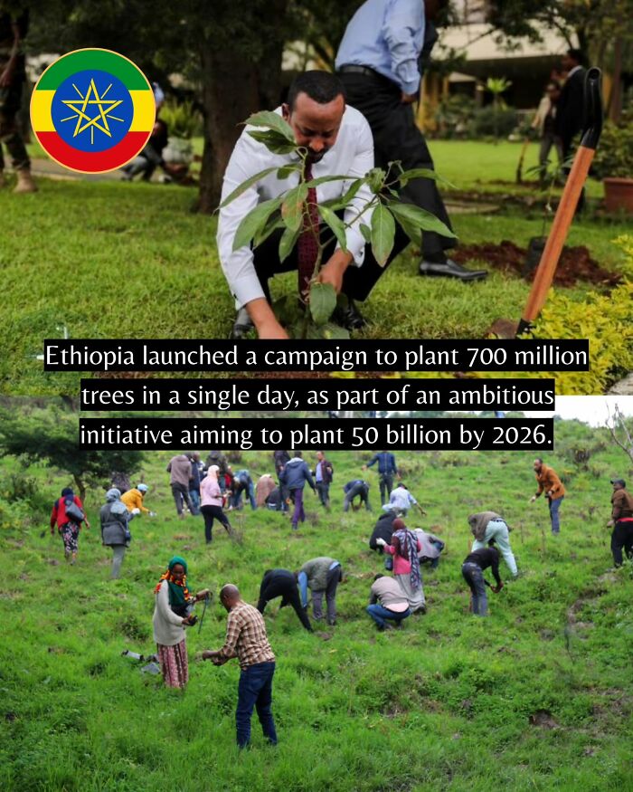 People planting trees in Ethiopia as part of a large-scale good news environmental campaign worldwide.