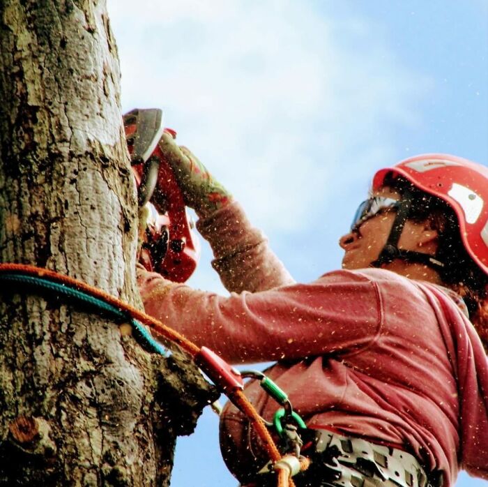 Woman wearing protective gear using a power tool to cut a tree, showcasing women choosing power tools over manicures.
