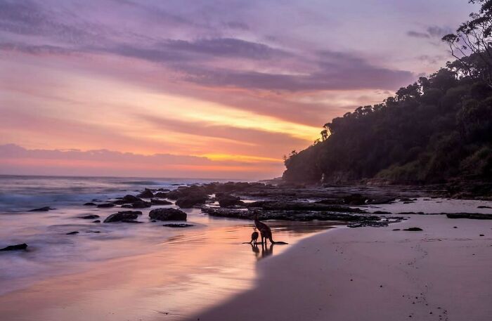 42 Beautiful Beach Photos Shared By This Page That Might Help You Mentally Escape To Summer