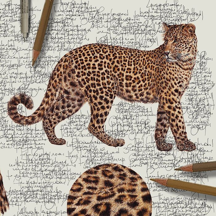 35 Beautiful Wildlife Sketches That Blend Scientific Detail With Artistic Wonder